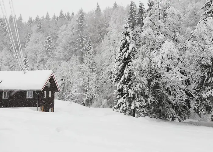 Saegemuehle Eschachthal